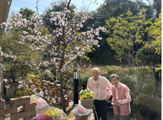 GTCサロン➂テラスの桜が満開です。