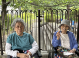 近隣散策～新緑の香里ヶ丘を歩きましょう その②～