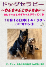 ドッグセラピー～おとちゃんとすずちゃんがやってくる～