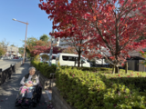 近隣散策2025年秋 その④