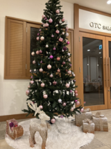 クリスマスツリーを飾っています