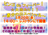 ビンゴdeフィーバー! ☆大当たり!!～春分の日スペシャル～