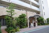 ～やまぼうしの木～