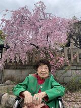 「弓弦羽神社へお花見」