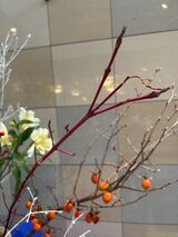 今月の花ごよみ