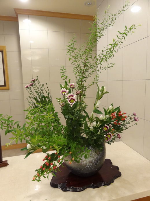 DSC06000.jpg