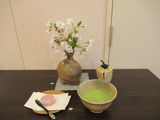 抹茶を楽しむ会
