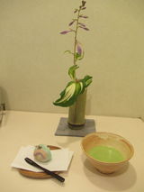 抹茶を楽しむ会
