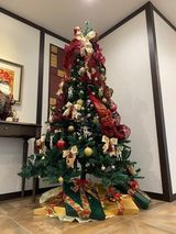 クリスマスツリーを飾りました☆