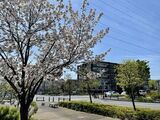 春の流山おおたかの森