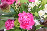 5月のお花