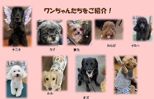 画像2.jpg
