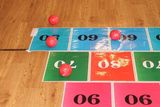 ターゲットボッチャ選手権