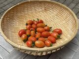 8月☆グッドタイムクラブのご案内☆