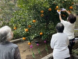 セミナー開催のご案内