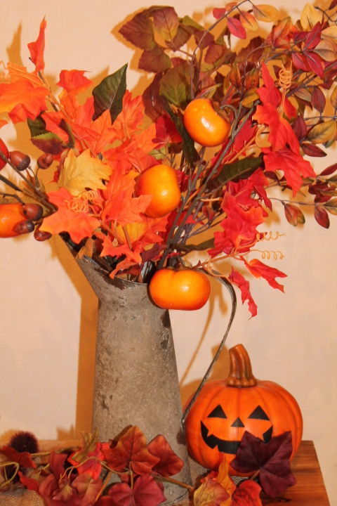 IMG_7475.jpg
