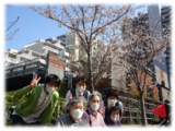 春の訪れ　近隣散策に出かけてきました