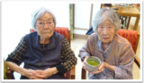 お抹茶倶楽部