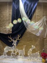 きらめくツリーとともに★