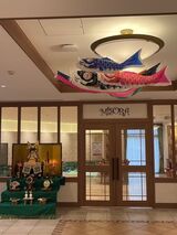 新緑の季節がやってきました!!