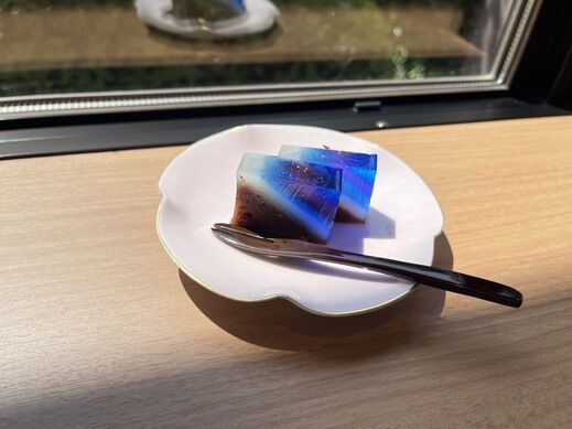 20250719_07.jpg