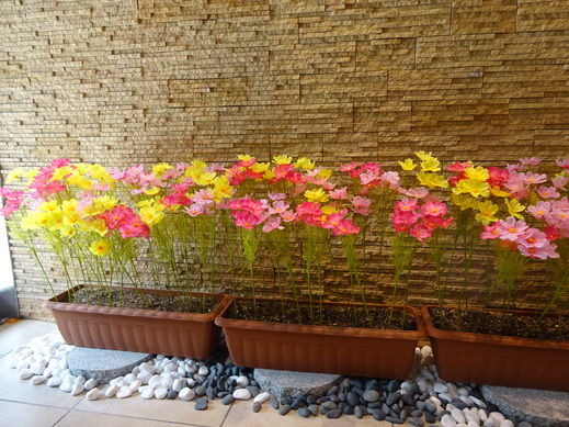 DSC04186.jpg
