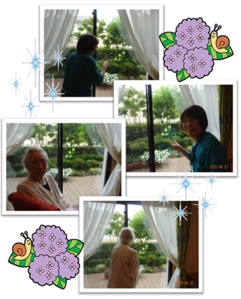 アジサイ2.png