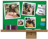 今年最後のドッグセラピー