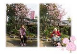 桜の下で約束を