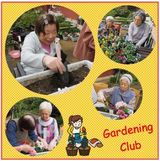 寄せ植えを楽しんで