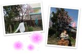 お楽しみは来年に