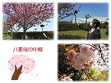 お出かけ気分を味わって