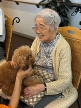 表情豊かなワンちゃんたち