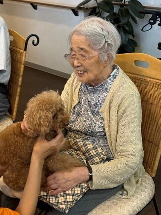 表情豊かなワンちゃんたち
