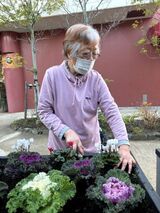 冬の庭園を華やかに