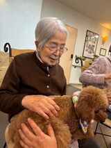 ドッグセラピー