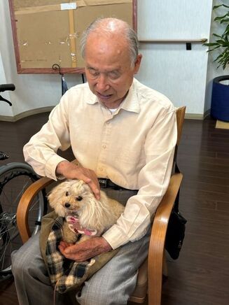 ワンちゃん達に癒やされて