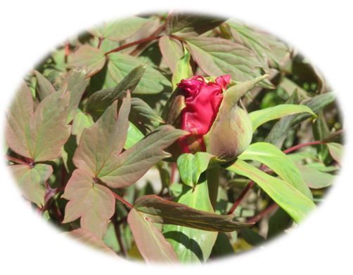 200415.jpg