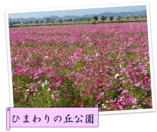 2010301.jpg