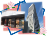 アートホテル大阪ベイタワー「割烹みなと」ランチツアー