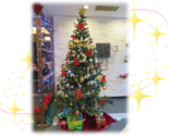 ～2020クリスマス設え～
