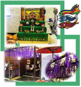 皐月の季節へ～藤の花～