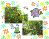 梅雨の合間に♪