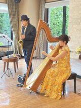 コンサートで優雅なひとときを