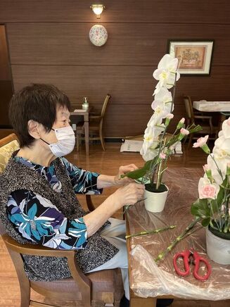 胡蝶蘭のアレンジメント