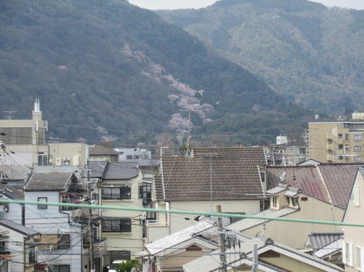 嵐山①20220330.jpg