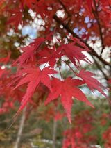 高雄パークウェイ