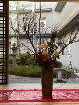 生け花鑑賞会～琴音と共に～