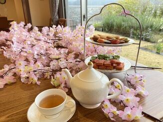 お花見サロン