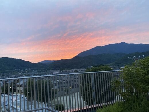 IMG_0348.jpg